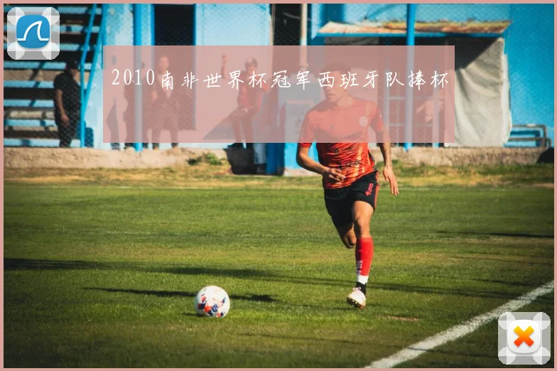 2010南非世界杯冠军西班牙队捧杯